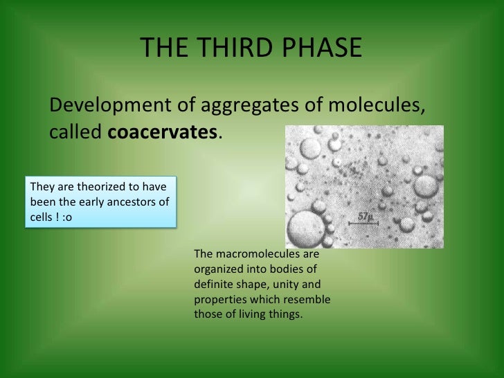 Chemosynthetic organisms picture