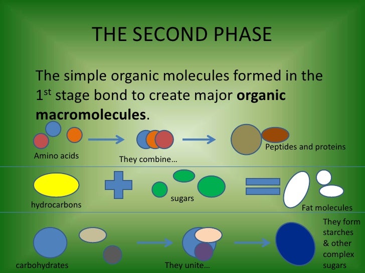 Chemosynthesis example picture
