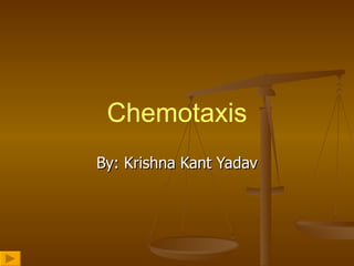 By: Krishna Kant Yadav Chemotaxis 