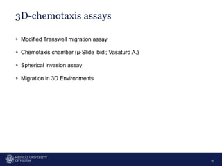 3D-chemotaxis assays
10
▹ Modified Transwell migration assay
▹ Chemotaxis chamber (µ-Slide ibidi; Vasaturo A.)
▹ Spherical invasion assay
▹ Migration in 3D Environments
 
