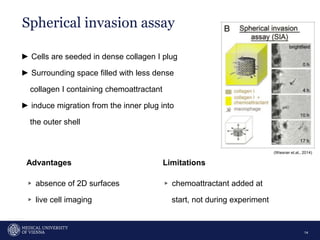 Spherical invasion assay
14
► Cells are seeded in dense collagen I plug
► Surrounding space filled with less dense
collagen I containing chemoattractant
► induce migration from the inner plug into
the outer shell
Limitations
▹ chemoattractant added at
start, not during experiment
Advantages
▹ absence of 2D surfaces
▹ live cell imaging
(Wiesner et.al., 2014)
 