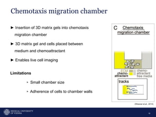 Chemotaxis migration chamber
16
► Insertion of 3D matrix gels into chemotaxis
migration chamber
► 3D matrix gel and cells placed between
medium and chemoattractant
► Enables live cell imaging
Limitations
▹ Small chamber size
▹ Adherence of cells to chamber walls
(Wiesner et.al., 2014)
 