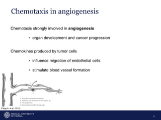 Chemotaxis in angiogenesis
6
Chemotaxis strongly involved in angiogenesis
▹ organ development and cancer progression
Chemokines produced by tumor cells
▹ influence migration of endothelial cells
▹ stimulate blood vessel formation
(Flegg A. et al., 2015)
 