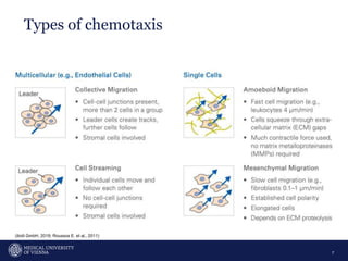 Types of chemotaxis
7
(ibidi GmbH, 2019; Roussos E. et al., 2011)
 