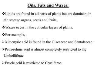 Oils, Fats and Waxes:
Lipids are found in all parts of plants but are dominant in
the storage organs, seeds and fruits.
Waxes occur in the cuticular layers of plants.
For example,
Ximenyric acid is found in the Olacaceae and Santalaceae.
Petroselinic acid is almost completely restricted to the
Umbelliferae.
Erucic acid is restricted to Cruciferae.
 