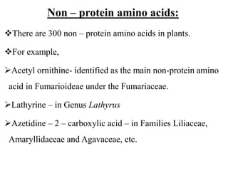 Non – protein amino acids:
There are 300 non – protein amino acids in plants.
For example,
Acetyl ornithine- identified as the main non-protein amino
acid in Fumarioideae under the Fumariaceae.
Lathyrine – in Genus Lathyrus
Azetidine – 2 – carboxylic acid – in Families Liliaceae,
Amaryllidaceae and Agavaceae, etc.
 