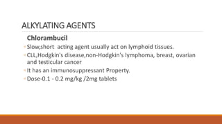 Chlorambucil
◦ Slow,short acting agent usually act on lymphoid tissues.
◦ CLL,Hodgkin's disease,non-Hodgkin's lymphoma, breast, ovarian
and testicular cancer
◦ It has an immunosuppressant Property.
◦ Dose-0.1 - 0.2 mg/kg /2mg tablets
ALKYLATING AGENTS
 
