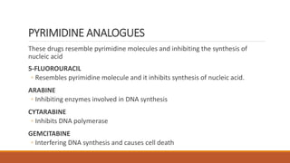 PYRIMIDINE ANALOGUES
These drugs resemble pyrimidine molecules and inhibiting the synthesis of
nucleic acid
5-FLUOROURACIL
◦ Resembles pyrimidine molecule and it inhibits synthesis of nucleic acid.
ARABINE
◦ Inhibiting enzymes involved in DNA synthesis
CYTARABINE
◦ Inhibits DNA polymerase
GEMCITABINE
◦ Interfering DNA synthesis and causes cell death
 