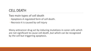 CELL DEATH
Two main types of cell death
◦ Apoptosis-A regulated form of cell death.
◦ Necrosis-it is caused by cell injury
Many anticancer drug act by inducing mutations in caner cells which
are not significant to cause cell death ,but which can be recognized
by the cell but triggering apoptosis.
 