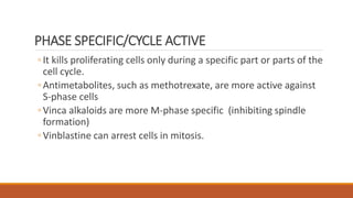 PHASE SPECIFIC/CYCLE ACTIVE
◦It kills proliferating cells only during a specific part or parts of the
cell cycle.
◦Antimetabolites, such as methotrexate, are more active against
S-phase cells
◦Vinca alkaloids are more M-phase specific (inhibiting spindle
formation)
◦Vinblastine can arrest cells in mitosis.
 