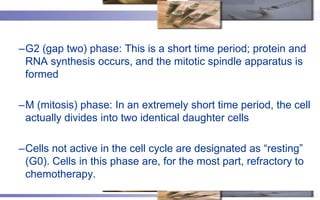 –G2 (gap two) phase: This is a short time period; protein and
 RNA synthesis occurs, and the mitotic spindle apparatus is
 formed

–M (mitosis) phase: In an extremely short time period, the cell
 actually divides into two identical daughter cells

–Cells not active in the cell cycle are designated as ―resting‖
 (G0). Cells in this phase are, for the most part, refractory to
 chemotherapy.
 