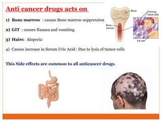 Anti cancer drugs acts on
1) Bone marrow : causes Bone marrow suppression
2) GIT : causes Nausea and vomiting
3) Hairs: Alopecia
4) Causes increase in Serum Uric Acid : Due to lysis of tumor cells
This Side effects are common to all anticancer drugs.
 