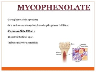 -Mycophenolate is a prodrug
-It is an inosine monophosphate dehydrogenase inhibitor.
-Common Side Effect :
1) gastrointestinal upset
2) bone marrow depression.
 