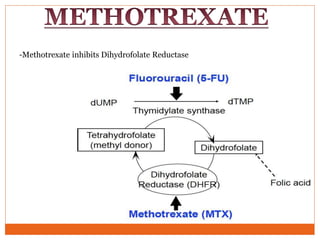 -Methotrexate inhibits Dihydrofolate Reductase
 
