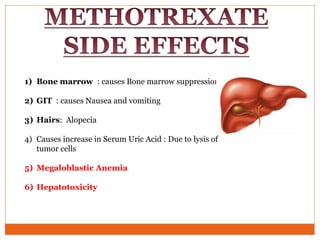 1) Bone marrow : causes Bone marrow suppression
2) GIT : causes Nausea and vomiting
3) Hairs: Alopecia
4) Causes increase in Serum Uric Acid : Due to lysis of
tumor cells
5) Megaloblastic Anemia
6) Hepatotoxicity
 