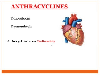 ANTHRACYCLINES
Doxorubocin
Daunorubocin
-Anthracyclines causes Cardiotoxicity
 