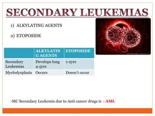 1) ALKYLATING AGENTS
2) ETOPOSIDE
-MC Secondary Leukemia due to Anti cancer drugs is : AML
ALKYLATIN
G AGENTS
ETOPOSIDE
Secondary
Leukemias
Develops long
4-5yrs
1-2yrs
Myelodysplasia Occurs Doesn’t occur
 