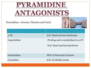 5-FU S/E: Hand and foot Syndrome
Capecitabine -Prodrug and is metabolised to 5-FU
-S/E: Hand and foot Syndrome
Gemcitabine DOC in Pancreatic Cancers
Cytarabine S/E: Cerebellar ataxia
-Pyramidines : Cytosine, Thymine and Uracil.
 