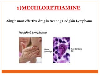 1)MECHLORETHAMINE
-Single most effective drug in treating Hodgkin Lymphoma
 