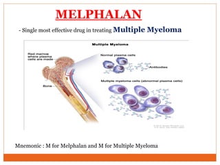 MELPHALAN
- Single most effective drug in treating Multiple Myeloma
Mnemonic : M for Melphalan and M for Multiple Myeloma
 