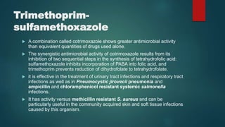 Trimethoprim-
sulfamethoxazole
 A combination called cotrimoxazole shows greater antimicrobial activity
than equivalent quantities of drugs used alone.
 The synergistic antimicrobial activity of cotrimoxazole results from its
inhibition of two sequential steps in the synthesis of tetrahydrofolic acid:
sulfamethoxazole inhibits incorporation of PABA into folic acid, and
trimethoprim prevents reduction of dihydrofolate to tetrahydrofolate.
 it is effective in the treatment of urinary tract infections and respiratory tract
infections as well as in Pneumocystic jirovecii pneumonia and
ampicillin and chloramphenicol resistant systemic salmonella
infections.
 It has activity versus methicillin resistant S. aureus and can be
particularly useful in the community acquired skin and soft tissue infections
caused by this organism.
 