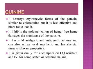  It destroys erythrocytic forms of the parasite
similar to chloroquine but it is less effective and
more toxic than it.
 It inhibits the polymerization of heme; free heme
damages the membrane of the parasite.
 It has mild analgesic and antipyretic actions and
can also act as local anesthetic and has skeletal
muscle relaxant properties.
 It is given orally for uncomplicated CQ resistant
and IV for complicated or cerebral malaria.
 