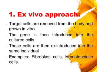 1. Ex vivo approach:
× Target cells are removed from the body and
grown in vitro.
× The gene is then introduced into the
cultured cells.
× These cells are then re-introduced into the
same individual
× Examples: Fibroblast cells, Hematopoietic
cells.
 