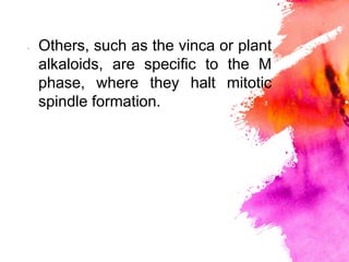 × Others, such as the vinca or plant
alkaloids, are speciﬁc to the M
phase, where they halt mitotic
spindle formation.
 