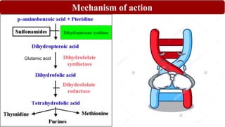Mechanism of action
Dihydropteroate synthase
Glutamic acid
 