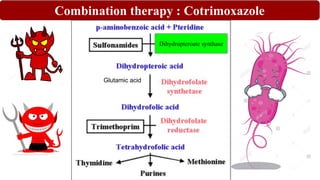 Combination therapy : Cotrimoxazole
Dihydropteroate synthase
Glutamic acid
 