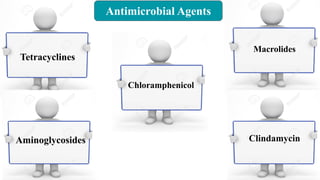 Antimicrobial Agents
Tetracyclines
Chloramphenicol
Macrolides
Aminoglycosides Clindamycin
 