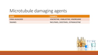 Microtubule damaging agents
CLASS EXAMPLE
VINKA ALKALOIDS VINCRISTINE, VINBLASTINE, VINORELBINE
TAXANES PACLITAXEL, DOCETAXEL, ESTRAMUSTINE
 