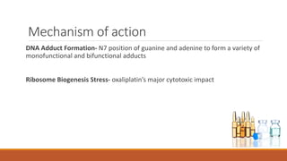 Mechanism of action
DNA Adduct Formation- N7 position of guanine and adenine to form a variety of
monofunctional and bifunctional adducts
Ribosome Biogenesis Stress- oxaliplatin’s major cytotoxic impact
 