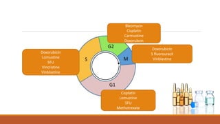 Doxorubicin
5 fluorouracil
Vinblastine
Cisplatin
Lomustine
5FU
Methotrexate
Doxorubicin
Lomustine
5FU
Vincristine
Vinblastine
Bleomycin
Cisplatin
Carmustine
Doxorubcin
 