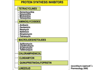 (according to Lippincott´s
Pharmacology, 2009)
PROTEIN SYNTHESIS INHIBITORS
TETRACYCLINES
AMINOGLYCOSIDES
MACROLIDES/KETOLIDES
CHLORAMPHENICOL
CLINDAMYCIN
QUINUPRISTIN/DALFOPRISTIN
LINEZOLID
Demeclocycline
Doxycycline
Minocycline
Tetracycline
Amikacin
Gentamicin
Neomycin
Netilmicin
Streptomycin
Tobramycin
Azithromycin
Clarithromycin
Erythromycin
Telithromycin
15
 