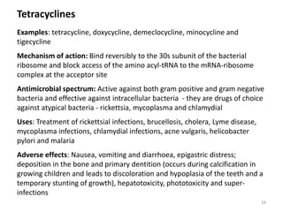 Tetracyclines
Examples: tetracycline, doxycycline, demeclocycline, minocycline and
tigecycline
Mechanism of action: Bind reversibly to the 30s subunit of the bacterial
ribosome and block access of the amino acyl-tRNA to the mRNA-ribosome
complex at the acceptor site
Antimicrobial spectrum: Active against both gram positive and gram negative
bacteria and effective against intracellular bacteria - they are drugs of choice
against atypical bacteria - rickettsia, mycoplasma and chlamydial
Uses: Treatment of rickettsial infections, brucellosis, cholera, Lyme disease,
mycoplasma infections, chlamydial infections, acne vulgaris, helicobacter
pylori and malaria
Adverse effects: Nausea, vomiting and diarrhoea, epigastric distress;
deposition in the bone and primary dentition (occurs during calcification in
growing children and leads to discoloration and hypoplasia of the teeth and a
temporary stunting of growth), hepatotoxicity, phototoxicity and super-
infections
16
 