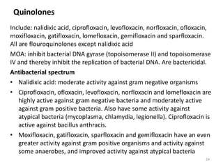 Quinolones
Include: nalidixic acid, ciprofloxacin, levofloxacin, norfloxacin, ofloxacin,
moxifloxacin, gatifloxacin, lomefloxacin, gemifloxacin and sparfloxacin.
All are flouroquinolones except nalidixic acid
MOA: inhibit bacterial DNA gyrase (topoisomerase II) and topoisomerase
IV and thereby inhibit the replication of bacterial DNA. Are bactericidal.
Antibacterial spectrum
• Nalidixic acid: moderate activity against gram negative organisms
• Ciprofloxacin, ofloxacin, levofloxacin, norfloxacin and lomefloxacin are
highly active against gram negative bacteria and moderately active
against gram positive bacteria. Also have some activity against
atypical bacteria (mycoplasma, chlamydia, legionella). Ciprofloxacin is
active against bacillus anthracis.
• Moxifloxacin, gatifloxacin, sparfloxacin and gemifloxacin have an even
greater activity against gram positive organisms and activity against
some anaerobes, and improved activity against atypical bacteria
24
 
