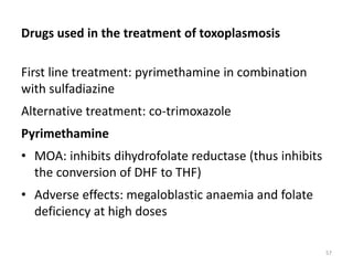 Drugs used in the treatment of toxoplasmosis
First line treatment: pyrimethamine in combination
with sulfadiazine
Alternative treatment: co-trimoxazole
Pyrimethamine
• MOA: inhibits dihydrofolate reductase (thus inhibits
the conversion of DHF to THF)
• Adverse effects: megaloblastic anaemia and folate
deficiency at high doses
57
 