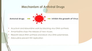 Comprehensive Overview of Chemotherapy Drugs and Their Mechanisms | PPTX