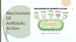Comprehensive Overview of Chemotherapy Drugs and Their Mechanisms | PPTX