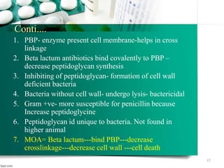 Conti....
1. PBP- enzyme present cell membrane-helps in cross
linkage
2. Beta lactum antibiotics bind covalently to PBP –
decrease peptidoglycan synthesis
3. Inhibiting of peptidoglycan- formation of cell wall
deficient bacteria
4. Bacteria without cell wall- undergo lysis- bactericidal
5. Gram +ve- more susceptible for penicillin because
Increase peptidoglycine
6. Peptidoglycan id unique to bacteria. Not found in
higher animal
7. MOA= Beta lactum---bind PBP---decrease
crosslinkage---decrease cell wall ---cell death
17
 