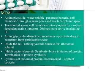 MOA
 Aminoglycoside- water soluble- penetrate bacterial cell
membrane through aqueus pores and reach periplamic space
 Transported across cell membrane into cytoplsm by – oxygen
dependent active transport- 20times more active in alkaline
PH
 Aminoglycoside- disrupt cell membrane –penetrate drug in
bacterium from periplasmic space
 Inside the cell- aminoglycoside binds to 30s ribosomal
subunit
 Inhibit bacterial protein Synthesis- block initiation of protein
Termination of protein synthesis
 Synthesis of abnormal protein- bacteriocidal – death of
bacteria
53
 