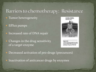  Tumor heterogeneity

 Efflux pumps

 Increased rate of DNA repair

 Changes in the drug sensitivity
  of a target enzyme

 Decreased activation of pro-drugs (precursors)

 Inactivation of anticancer drugs by enzymes
 