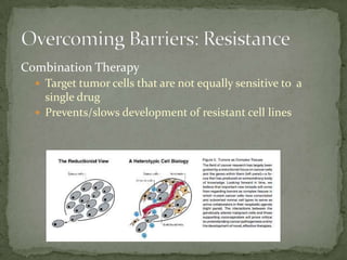 Combination Therapy
   Target tumor cells that are not equally sensitive to a
    single drug
   Prevents/slows development of resistant cell lines
 