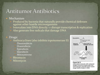  Mechanism
   Produced by bacteria that naturally provide chemical defenses
    against other hostile microorganisms
   Intercalate into DNA directly -> disrupt transcription & replication
   Also generate free radicals that damage DNA

 Drugs:
   Anthracyclines (also inhibits topoisomerase II)
        Daunorubicin
        Doxorubicin
        Epirubicin
        Idarubicin
        Mitoxantrone
   Bleomycin
   Mitomycin
 