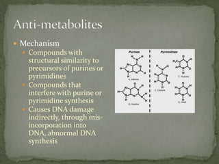 Mechanism
   Compounds with
    structural similarity to
    precursors of purines or
    pyrimidines
   Compounds that
    interfere with purine or
    pyrimidine synthesis
   Causes DNA damage
    indirectly, through mis-
    incorporation into
    DNA, abnormal DNA
    synthesis
 