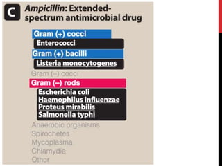 Chemotherapy 1 general principles | PPTX