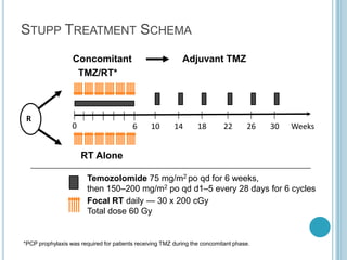 Temozolomide 75 mg/m2 po qd for 6 weeks,
then 150–200 mg/m2 po qd d1–5 every 28 days for 6 cycles
Focal RT daily — 30 x 200 cGy
Total dose 60 Gy
TMZ/RT*
Adjuvant TMZ
Weeks6 10 14 18 22 26 30
RT Alone
R
STUPP TREATMENT SCHEMA
0
*PCP prophylaxis was required for patients receiving TMZ during the concomitant phase.
Concomitant
 