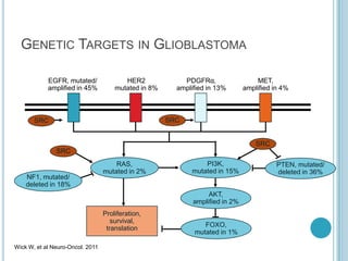 Wick W, et al Neuro-Oncol. 2011
GENETIC TARGETS IN GLIOBLASTOMA
EGFR, mutated/
amplified in 45%
HER2
mutated in 8%
PDGFRα,
amplified in 13%
MET,
amplified in 4%
Proliferation,
survival,
translation
FOXO,
mutated in 1%
NF1, mutated/
deleted in 18%
RAS,
mutated in 2%
PI3K,
mutated in 15%
PTEN, mutated/
deleted in 36%
AKT,
amplified in 2%
SRC
SRC
SRC
SRC
 