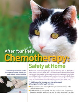 After Your Pet’s
Chemotherapy treatments used in
pets are generally less intense than
those used in human medicine.
Most cancer chemotherapy targets rapidly dividing cells in the body—a
characteristic typical of cancer cells.Treatments used in pets are generally less
intense than those used in human medicine. Still, pets will excrete potentially
harmful drugs in their body fluids (such as urine, feces, vomit, and saliva) and
care must be used to minimize your potential exposure to these substances.
Below are our recommendations for keeping you and your family safe:
First 48 hours after your pet has been discharged
following a chemotherapy treatment:
■ Keep children and other pets away from the pet that has received his or her
chemotherapy treatment.
■ Wash food bowls and toys separately from other household items, using water and
dishwashing or laundry detergent (if the items are washed in the laundry machine).
Chemotherapy:
SafetyatHome
 